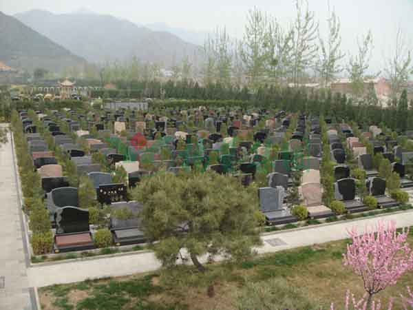 1-2202240R33LC 欧博abg - 官方网址登录入口