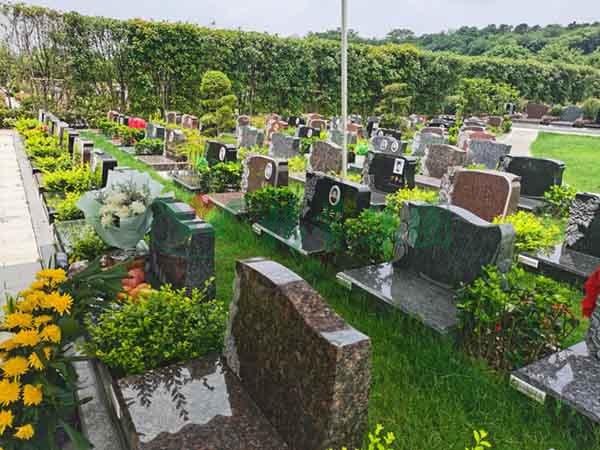 1-2202240S334P3 欧博abg - 官方网址登录入口