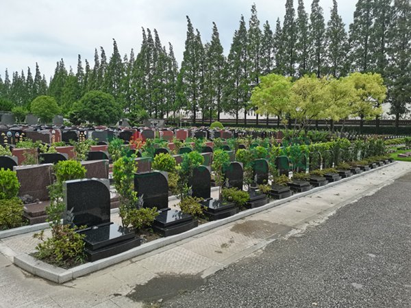 1-2202240T202213 欧博abg - 官方网址登录入口