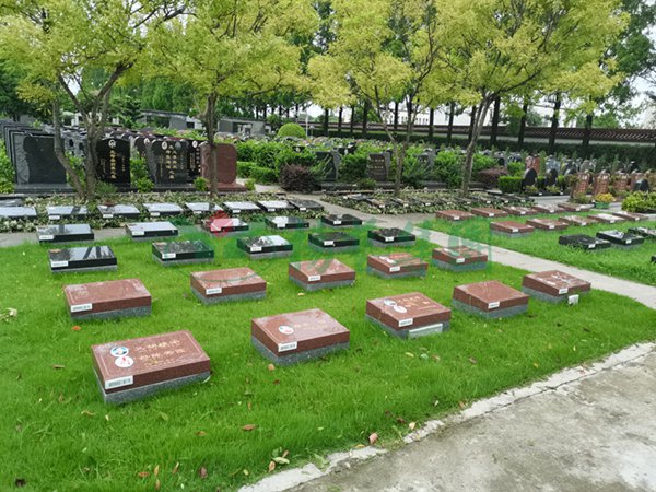 1-2202240T240247 欧博abg - 官方网址登录入口