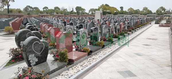 1-2202240Z240X3 欧博abg - 官方网址登录入口