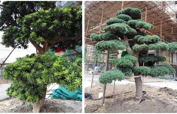 1-21122QF406423 欧博abg - 官方网址登录入口